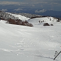 DSC04654