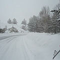 DSC04680