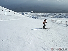 DSCF3116