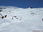 DSCF3167