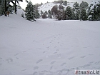 DSC00051