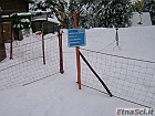 DSC00052