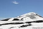 DPP_000164