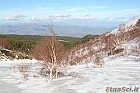DPP_000238