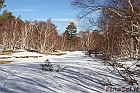 DPP_000245